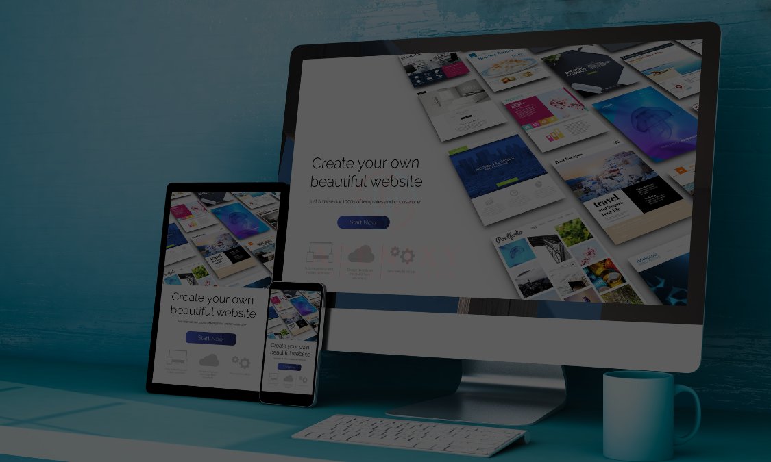 Professional Web Development