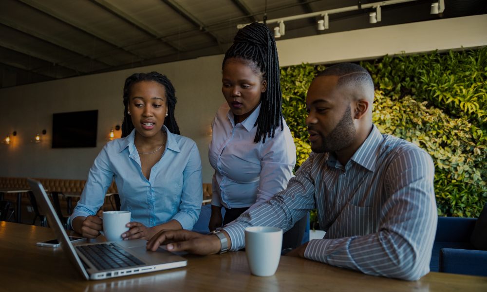 Software Development